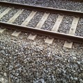 Ferrovie in Puglia: aumentano i pendolari ma crescono i disagi