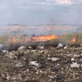 Incendi estivi, Mennea: “Se vengono contenuti è solo grazie al piano elaborato dalla Protezione civile”