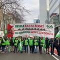 Gli agricoltori protestano a Bruxelles: "Siamo bandiera dell'agricoltura "