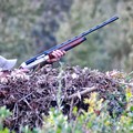 Per la Puglia arriva una nuova legge sulla caccia
