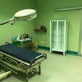 Infermieri, ce ne sono almeno 800 che ora lavorano fuori: "facciamoli rientrare in Puglia "