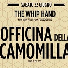 Pensieri surreali, appunti, cieli grigi: tutto questo è «Officina della Camomilla»