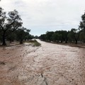 Bilancio shock in agricoltura per allagamenti e smottamenti