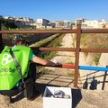 3Place: pitturazione ringhiere canale Ciappetta-Camaggio e cleanup