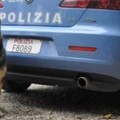 Warren, il cane poliziotto che cerca casa