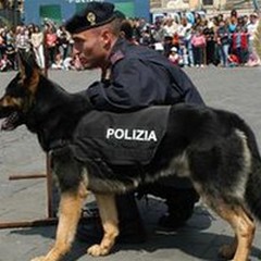 Una "Domenica a 4 zampe ", iniziativa dell'associazione IdeAzione