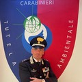 Avvicendamento al Nucleo Operativo Ecologico Carabinieri