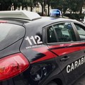 Operazione dei carabinieri: intero stabile perquisito alla ricerca di droga