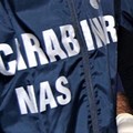 Estate tranquilla 2022: i Carabinieri del NAS intervengono anche nella Bat