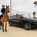 "Carabinieri Sport e Salute ": ad Andria due giornate dedicate a inclusione e benessere