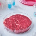 Coldiretti Puglia: «Appurato che la carne sintetica inquina 25 volte di più»