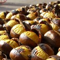 Serata con caldarroste, caciocavallo e buon vino