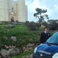 Ladri di olive, tre persone sono state denunciate
