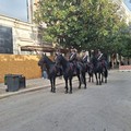 Prima domenica ecologica del Natale 2025 all'insegna dei Carabinieri a cavallo nel centro cittadino