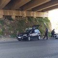 Attentato a carabiniere, Gemmato (FdI): "Solidarietà all'Arma e fiducia nella Magistratura "
