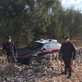 Furti di cavi a Ferrotramviaria, presa la banda
