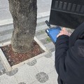 Verde urbano, avviato un censimento per il monitoraggio digitale