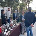 Parco Nazionale dell’Alta Murgia: Commissione UNESCO valuta la candidatura a Geoparco