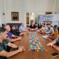 Xylella, nuovo incontro del Comitato Pro Agricoltura
