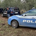 Ritrovata l'auto servita per la rapina di questa notte al distributore IP su via Andria a Corato