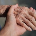 Giornata Mondiale dell'Alzheimer: Un percorso multisensoriale ad Andria per  "Sentire, vedere, capire l’Alzheimer "