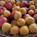 Caro prezzi: i consumatori tagliano gli acquisti di frutta e verdura