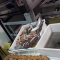 Prodotti ittici: in Puglia stranieri 8 pesci su 10 consumati