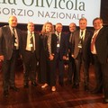Da  "Italia Olivicola ", nuova linfa ad un settore di vitale importanza
