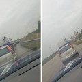 Incidente sp231: traffico in tilt vicino allo svincolo per Trani