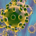 Coronavirus: la situazione del 9 marzo ore 19, nessun nuovo caso nella Bat
