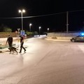 Sicurezza nella Bat, Losito (Cambiamo): "Furti, atti vandalici e assembramenti, non sarebbe ora di intensificare i controlli? "