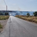 Incendio di sterpaglie in via Da Villa: intervento dei volontari e della Polizia Locale