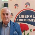 D’Amore, Liberali e Riformisti, nPSI Andria:  "Jazz sì, ma che confusione! La comunicazione istituzionale va rivista "