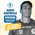 Fidelis al lavoro sul mercato: ceduti Porcaro e Segantini, dentro Anatrella