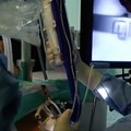 Festa di San Biagio: l'Otorinolaringoiatria della Asl Bt traccia un bilancio delle attività svolte