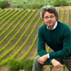 Movimento Turismo del Vino di Puglia, eletto il nuovo consiglio