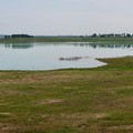 Agricoltura: si aggrava l’emergenza idrica in Puglia