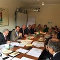Anci Puglia:  "Comparto olivicolo pugliese attraversato da una grave crisi "