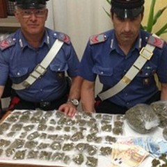 Poco più di 800 grammi di marijuana in casa: arrestati in due