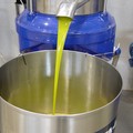 Consumi: ottima qualità per l'olio extra vergine d'oliva ma serve più tutela