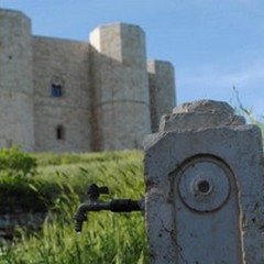 Castel del Monte: fontana ed erba preda d'incuria