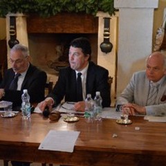 Extravergine, Spagnoletti: «Produzione ok, preoccupati per Xylella»