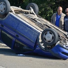 Branco di cinghiali per strada, auto ribaltata: una 54enne ferita