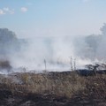 Monte Faraone ieri in fiamme; intaccate le querce patriarcali