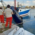 Auto finisce nelle acque del porto di Bisceglie, salvo l'unico occupante