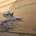 Zinni (ESP): "Un murales come una mano che salva e di contro delle firme come una mano che respinge "