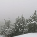 Inizio di primavera con neve e freddo: rischio gelate in campagna per frutti e ortaggi