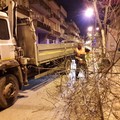 Il Commissario Tufariello nomina i nuovi vertici dell'AndriaMultiservice. L'ing. Infante è il nuovo amministratore unico