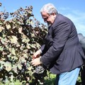Puglia, Primarie centrosinistra: le dichiarazioni di Emiliano