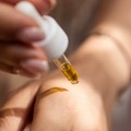 Cannabis: cosa sono i semi da collezione?